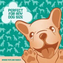 Ruff 'N Ruffus Tangle-Free Retractable Dog Leash & Bonus Contents, Aqua 15 Ruff 'N Ruffus Tangle-Free Retractable Dog Leash & Bonus Contents, Aqua -Blue Buffalo Shop 778646 PT6. AC SS1800 V1678467885