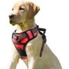 Jespet Goopaws Adjustable Padded Easy Control Lightweight Reflective Dog Harness -Blue Buffalo Shop 779518 MAIN. AC SS1800 V1676921195