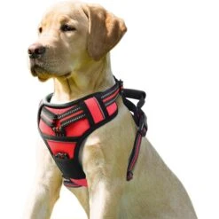 Jespet Goopaws Adjustable Padded Easy Control Lightweight Reflective Dog Harness