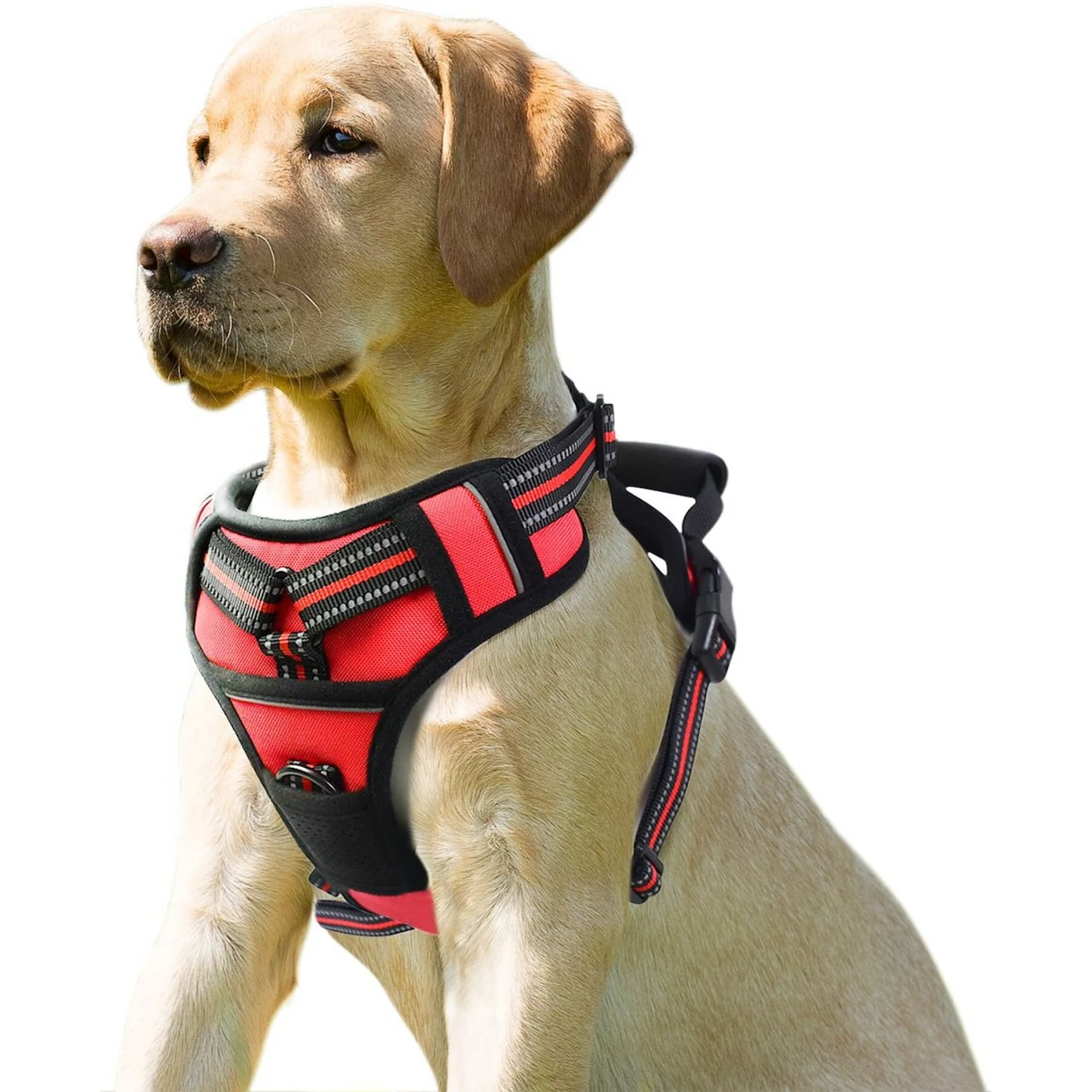 Jespet Goopaws Adjustable Padded Easy Control Lightweight Reflective Dog Harness 3 Jespet Goopaws Adjustable Padded Easy Control Lightweight Reflective Dog Harness