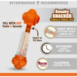 Nylabone Sneaky Snacker Bacon Flavor Dog Treat Toy, Orange -Blue Buffalo Shop 784398 PT2. AC SS1800 V1677077854