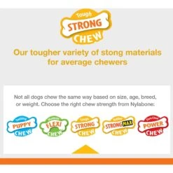 Nylabone Sneaky Snacker Bacon Flavor Dog Treat Toy, Orange -Blue Buffalo Shop 784398 PT7. AC SS1800 V1677077853