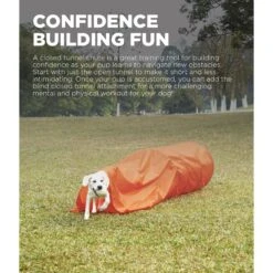 Outward Hound Zip & Zoom Closed Tunnel Chute Attachment With Metal Stakes Dog Agility Kit, Orange -Blue Buffalo Shop 786494 PT1. AC SS1800 V1682628083