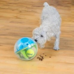 Outward Hound A-Maze Ball Puzzle & Treat Maze Interactive Dog Toy, Green -Blue Buffalo Shop 786510 PT6. AC SS1800 V1682628695