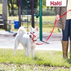 Halti Training Lead Dog Leash 12 Halti Training Lead Dog Leash -Blue Buffalo Shop 791494 PT4. AC SS1800 V1681318215