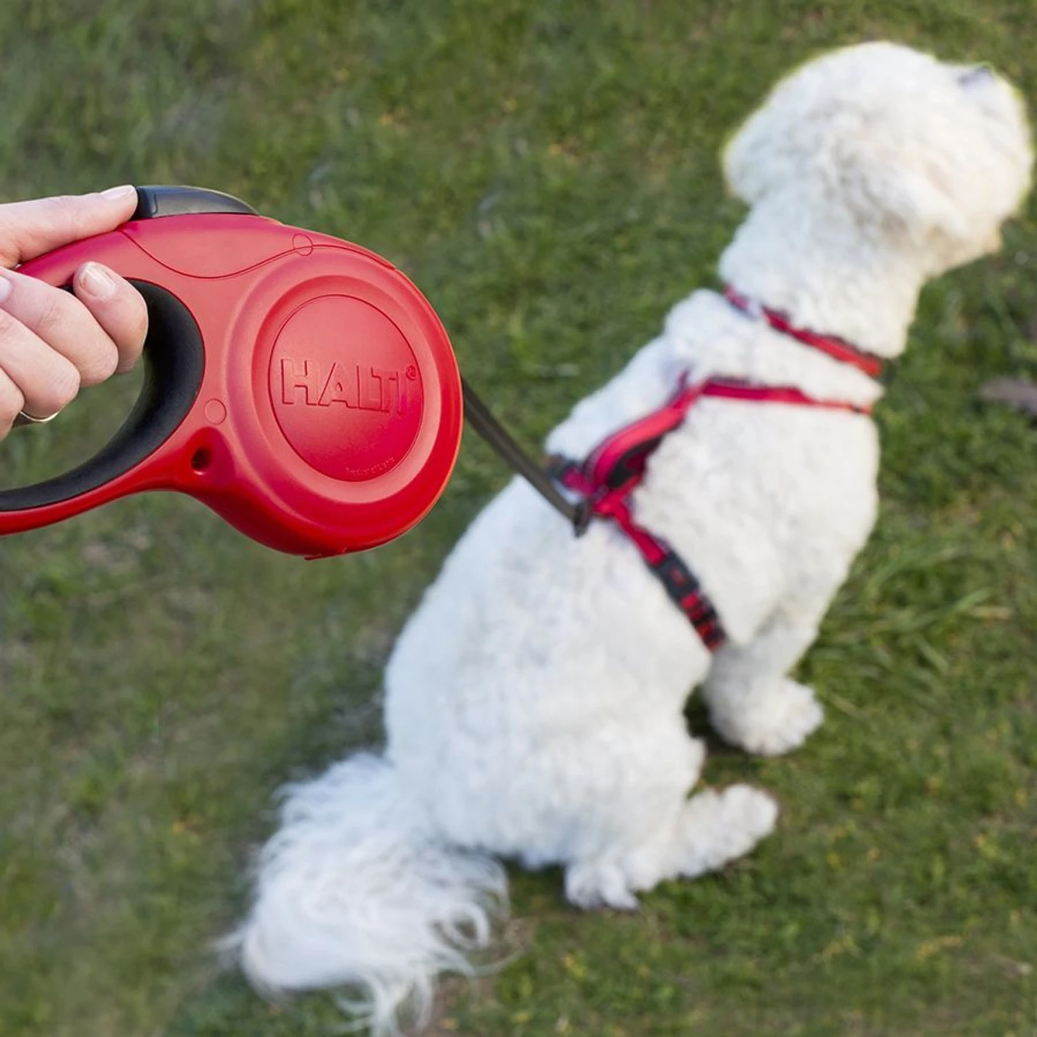 Halti Retractable Lead Dog Leash 9 Halti Retractable Lead Dog Leash - Image 7