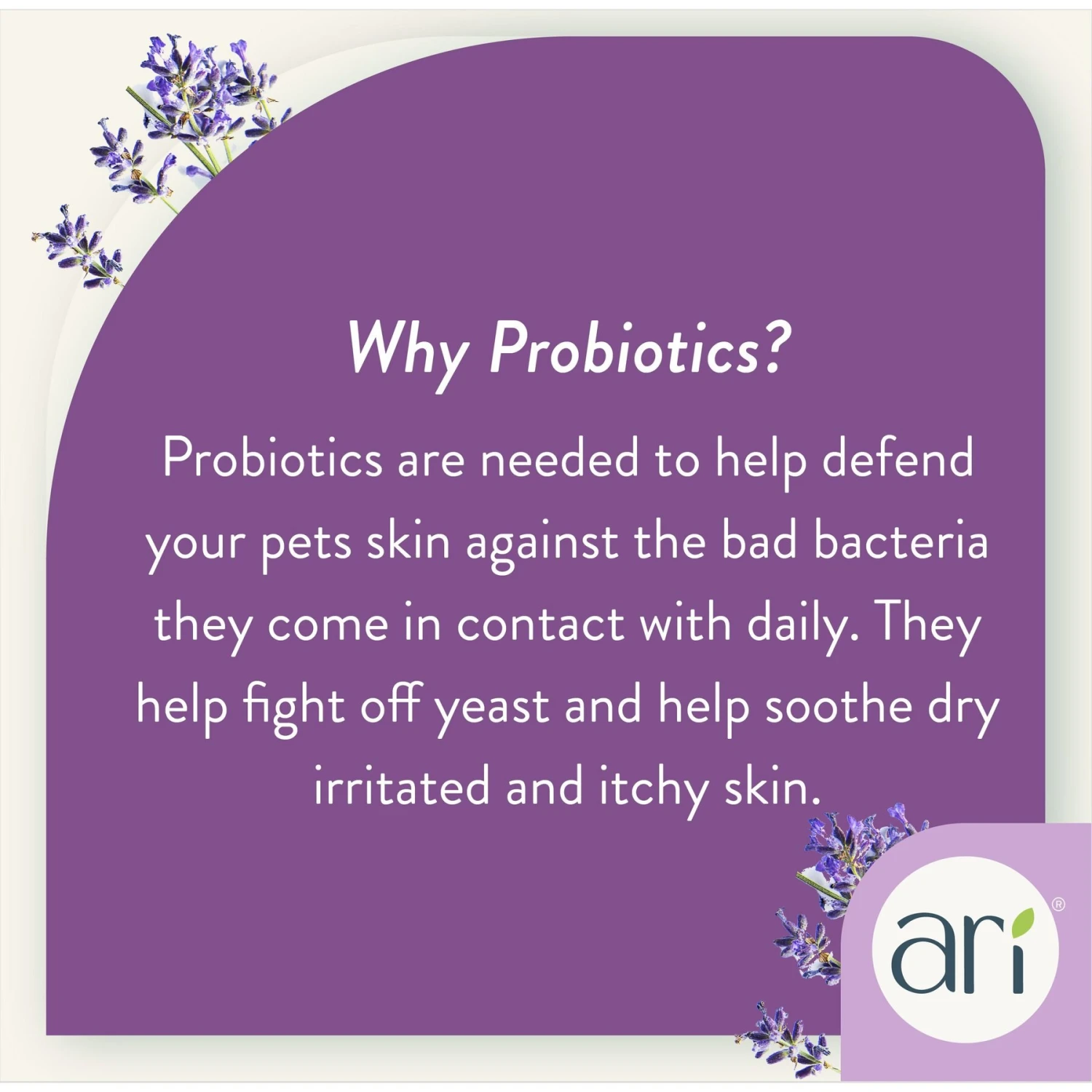 Health Extension ARI Probiotic Lavendar & Eucalyptus Dog Deodorizer Spray, 8-oz Bottle 8 Health Extension ARI Probiotic Lavendar & Eucalyptus Dog Deodorizer Spray, 8-oz Bottle - Image 6