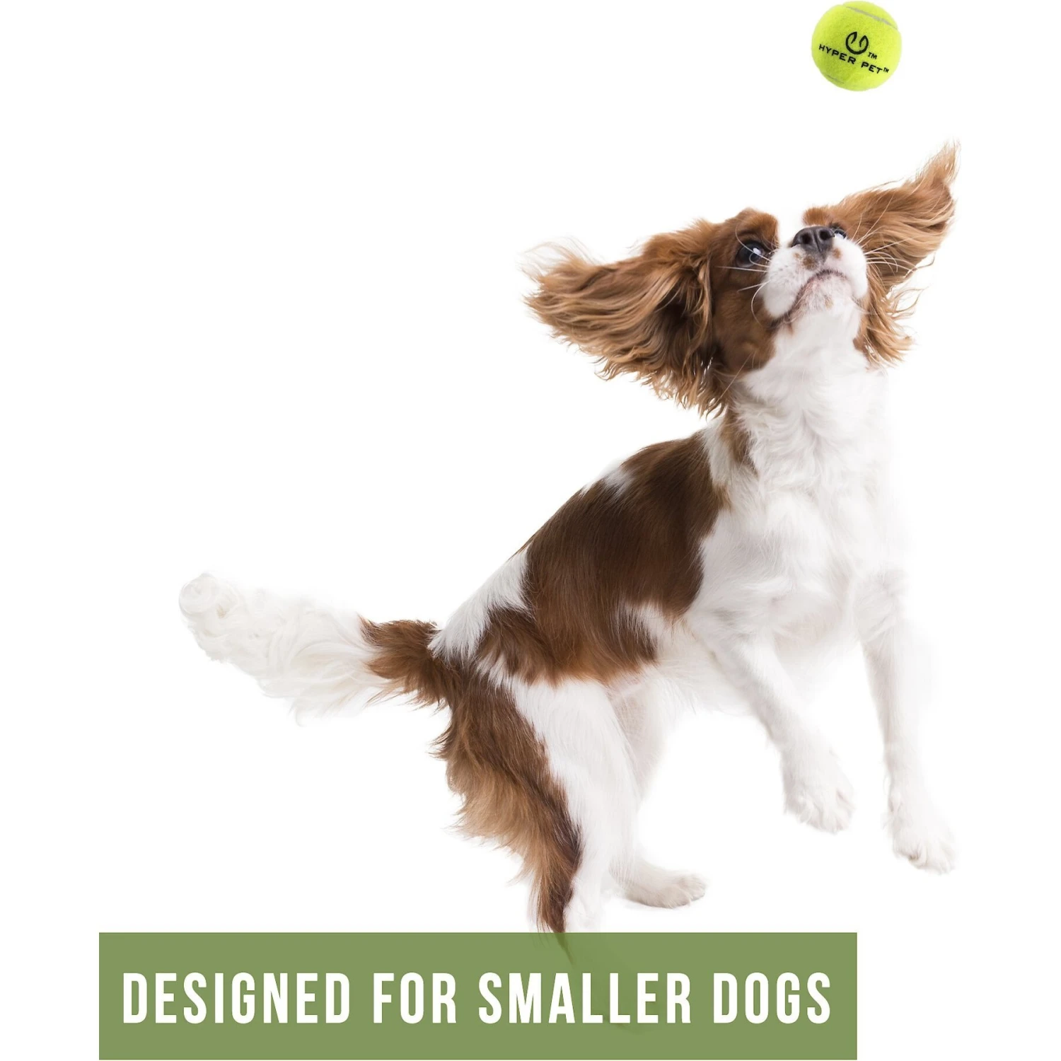 Hyper Pet 4 Pack Of Balls For Dogs, Green 4 Hyper Pet 4 Pack Of Balls For Dogs, Green - Image 2