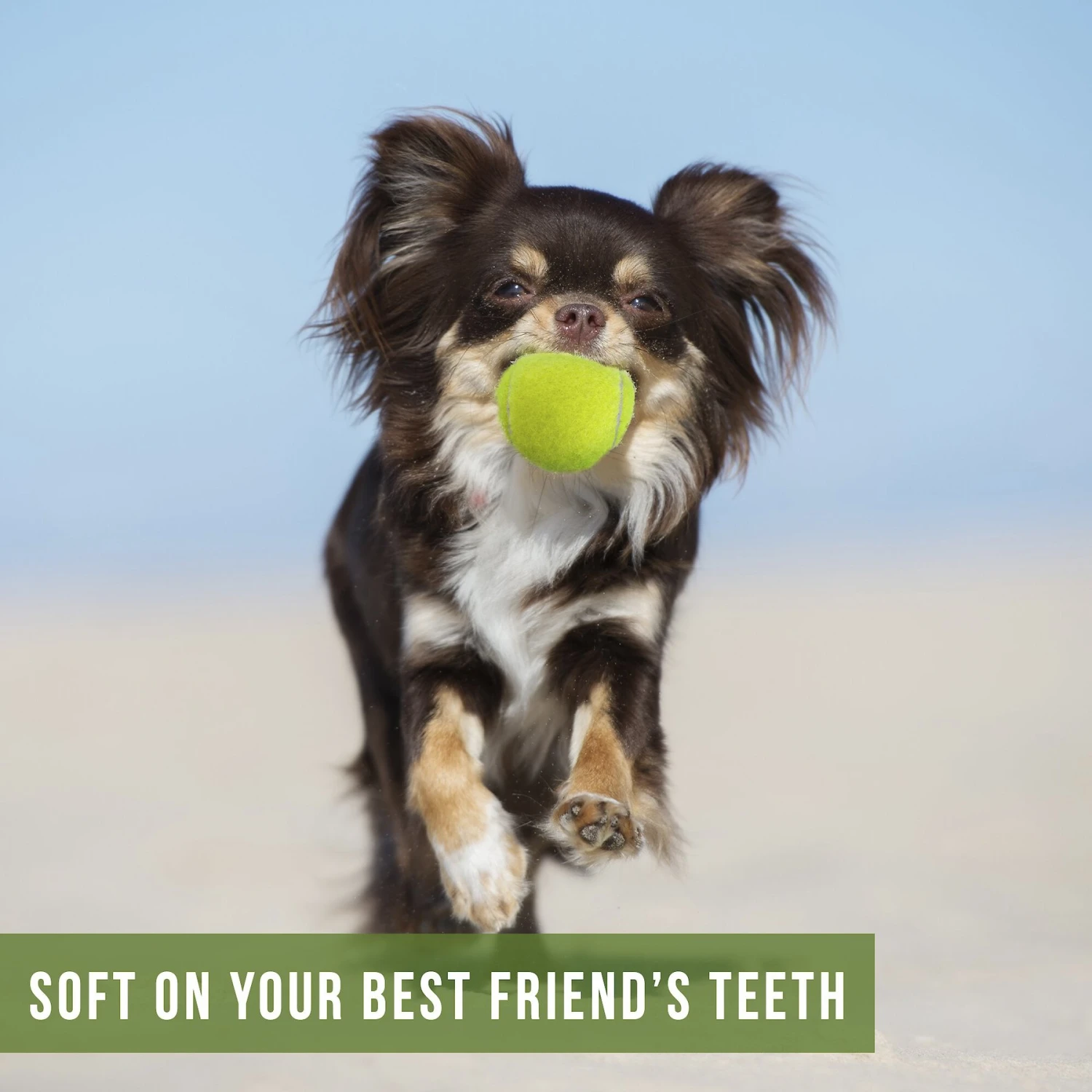 Hyper Pet 4 Pack Of Balls For Dogs, Green 10 Hyper Pet 4 Pack Of Balls For Dogs, Green - Image 8