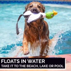 Hyper Pet Flying Series Dog Toy 11 Hyper Pet Flying Series Dog Toy -Blue Buffalo Shop 80093 PT3. AC SS1800 V1605657406