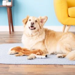 Hyper Pet Fox Critter Skinz Dog Toy 11 Hyper Pet Fox Critter Skinz Dog Toy -Blue Buffalo Shop 80098 PT1. AC SS1800 V1530546859