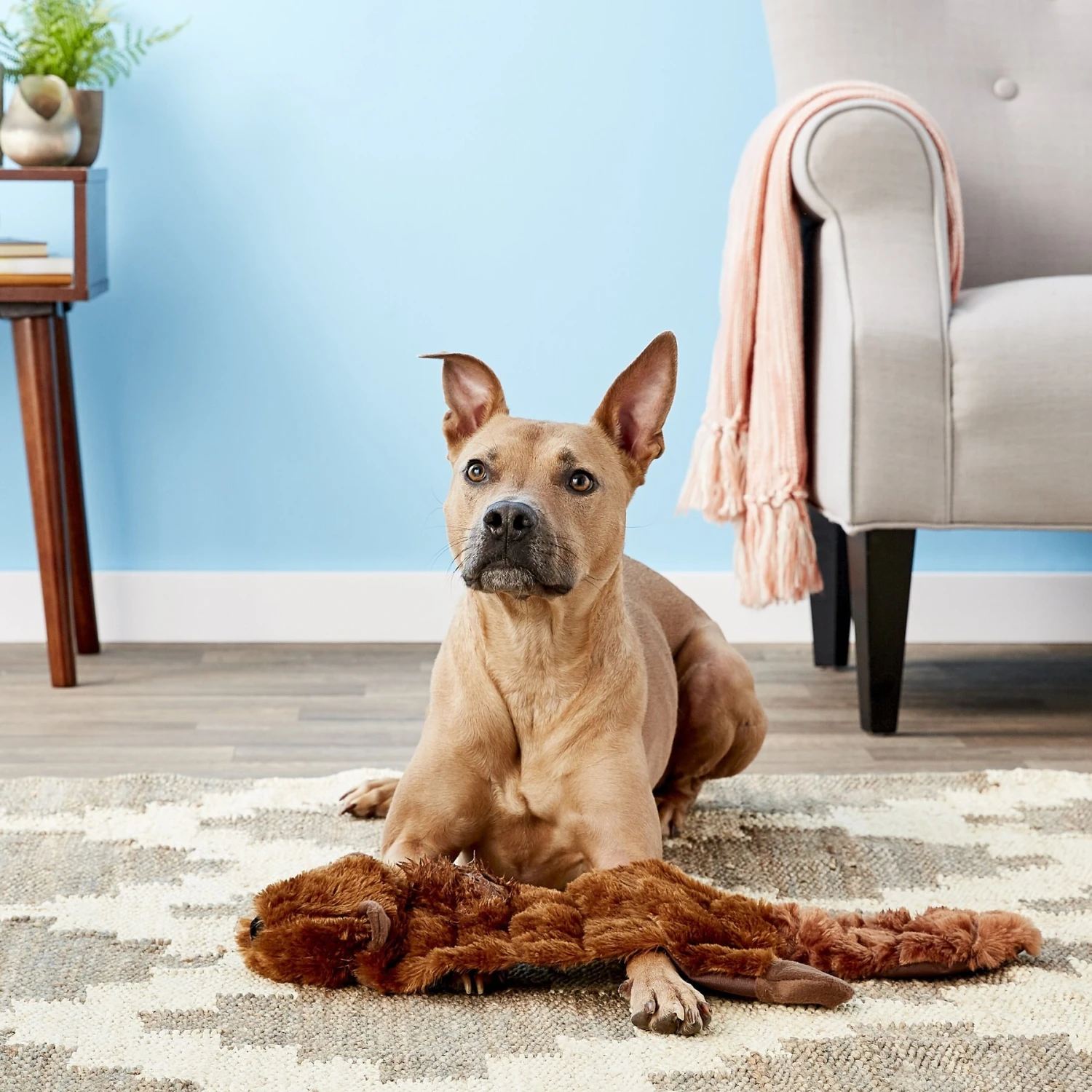 Hyper Pet Super Squeaker Beaver Critter Skinz Dog Toy 4 Hyper Pet Super Squeaker Beaver Critter Skinz Dog Toy - Image 2