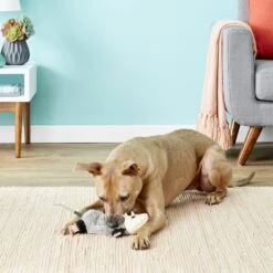 Hyper Pet Real Skinz Dog Toy 12 Hyper Pet Real Skinz Dog Toy -Blue Buffalo Shop 80126 PT1. AC SS1800 V1548967466