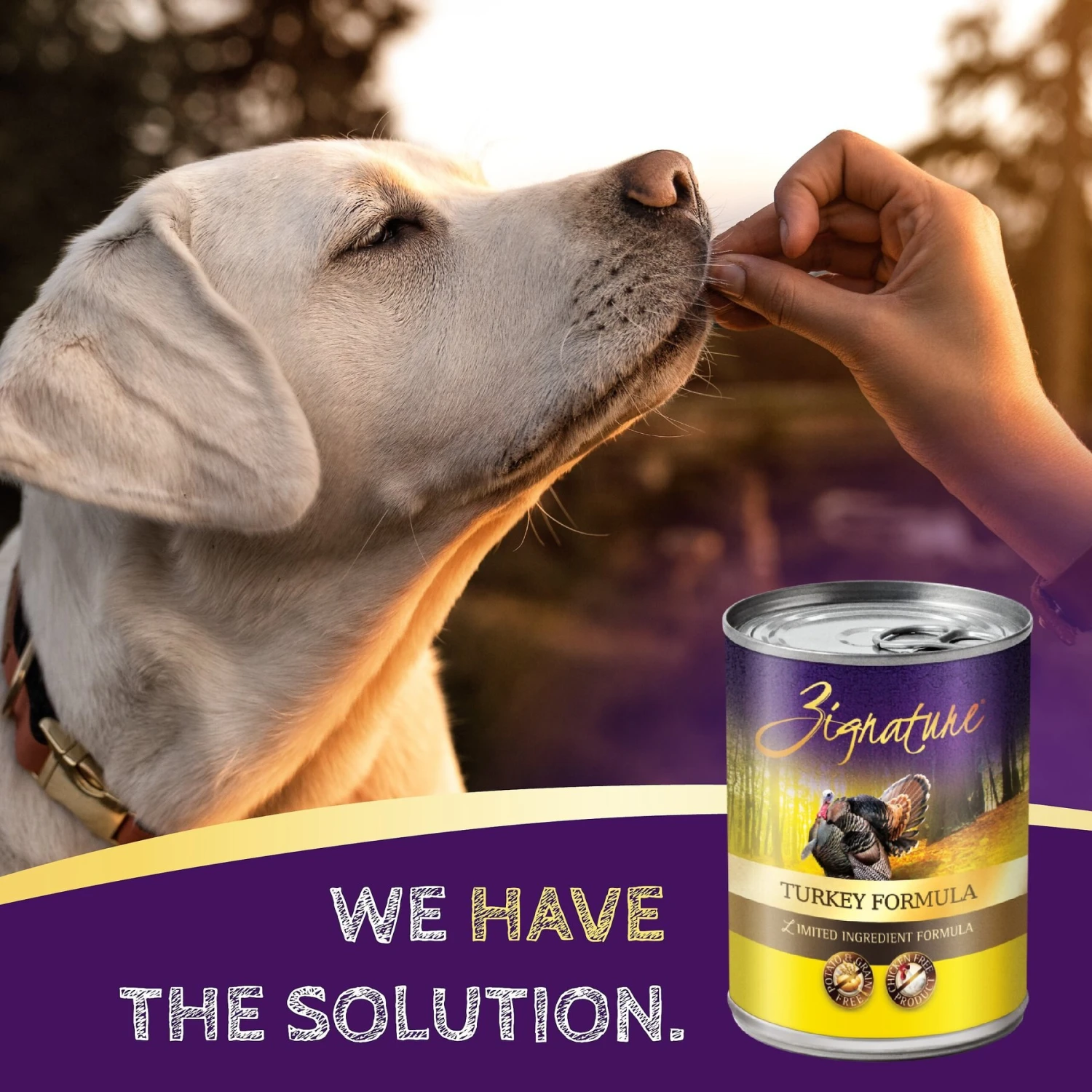 Zignature Turkey Limited Ingredient Formula Canned Dog Food 7 Zignature Turkey Limited Ingredient Formula Canned Dog Food - Image 5