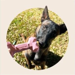 Mount Ara Superbite Dog Toy, 2 Count -Blue Buffalo Shop 802526 PT2. AC SS1800 V1678802958