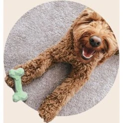 Mount Ara Superbite Dog Toy, 2 Count -Blue Buffalo Shop 802526 PT3. AC SS1800 V1678799080