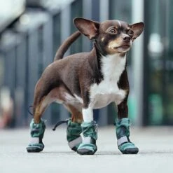 Canada Pooch Soft Shield Dog Boots -Blue Buffalo Shop 803006 PT4. AC SS1800 V1682088022