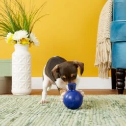 Jolly Pets Tug-n-Toss Mini Dog Toy, Blue 8 Jolly Pets Tug-n-Toss Mini Dog Toy, Blue -Blue Buffalo Shop 80412 PT2. AC SS1800 V1530912866