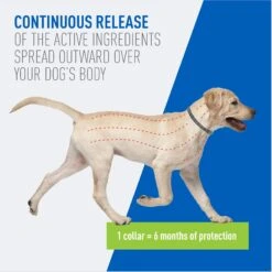 Adams® Adams Flea & Tick Collar PLUS For Dogs & Puppies, 1 Count -Blue Buffalo Shop 804246 PT3. AC SS1800 V1697032129
