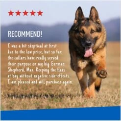 Adams® Adams Flea & Tick Collar PLUS For Dogs & Puppies, 1 Count -Blue Buffalo Shop 804246 PT6. AC SS1800 V1697032128