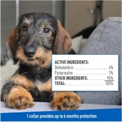 Adams® Adams Flea & Tick Collar PLUS For Dogs & Puppies, 1 Count -Blue Buffalo Shop 804246 PT7. AC SS1800 V1697032128