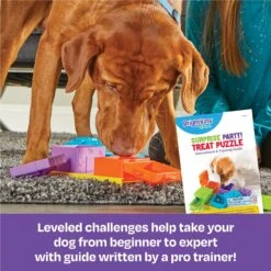Brightkins Surprise Party! Puzzle Treat Dog Toy -Blue Buffalo Shop 805390 PT2. AC SS1800 V1679069715