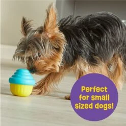 Brightkins Small Cupcake Treat Dispenser Dog Toy -Blue Buffalo Shop 805438 PT3. AC SS1800 V1682450416