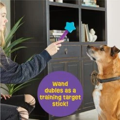 Brightkins Magic Wand! Star Treat Dispensing Dog Tpy -Blue Buffalo Shop 805454 PT2. AC SS1800 V1678999699
