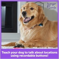 Hunger For Words Talking Pet Next Words: Locations Dog Toy 9 Hunger For Words Talking Pet Next Words: Locations Dog Toy -Blue Buffalo Shop 805582 PT2. AC SS1800 V1679069469
