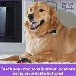 Hunger For Words Talking Pet Next Words: Locations Dog Toy 11 Hunger For Words Talking Pet Next Words: Locations Dog Toy -Blue Buffalo Shop 805582 PT5. AC SS1800 V1682450486