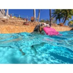 Project Hive Pet Company Hive Wild Berry Scented Disc & Lick Mat Dog Toy, Pink 15 Project Hive Pet Company Hive Wild Berry Scented Disc & Lick Mat Dog Toy, Pink -Blue Buffalo Shop 805950 PT6. AC SS1800 V1683566323