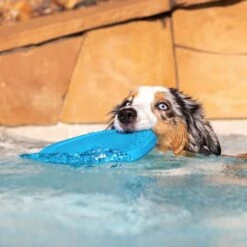 Project Hive Pet Company Hive Soothing Vanilla Scented Disc & Lick Mat Dog Toy, Blue -Blue Buffalo Shop 806046 PT5. AC SS1800 V1683560609