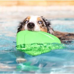 Project Hive Pet Company Hive Tropical Coconut Scented Disc & Lick Mat Dog Toy, Green -Blue Buffalo Shop 806142 PT4. AC SS1800 V1683565308