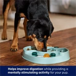 Frisco Interactive Dog & Cat Slow Feeder Bowl -Blue Buffalo Shop 807414 PT2. AC SS1800 V1696254614