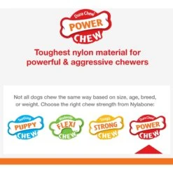 Nylabone Power Chew Basted Blast Dual Flavored Dog Chew Toys -Blue Buffalo Shop 808270 PT3. AC SS1800 V1685646760