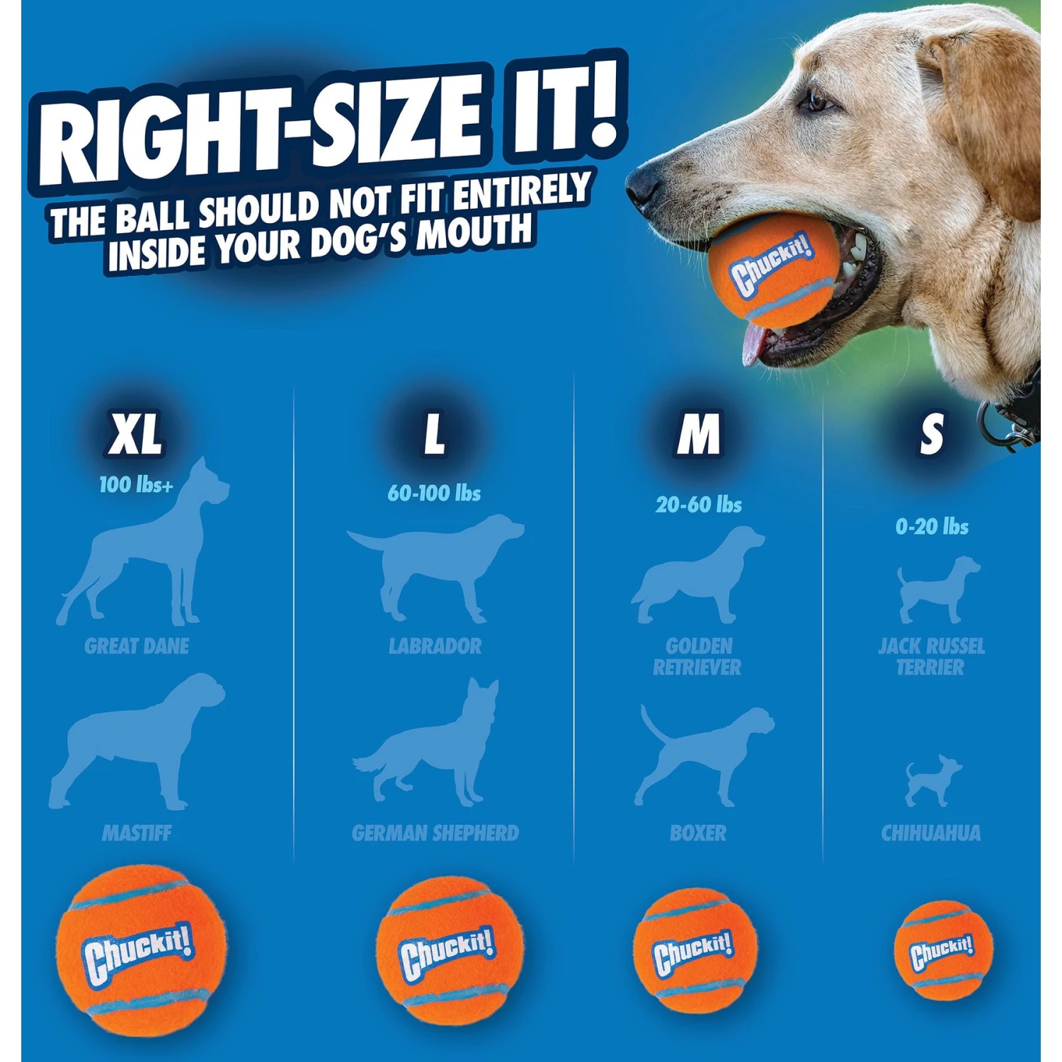 Chuckit! Double Pack Tennis Ball Dog Toy 4 Chuckit! Double Pack Tennis Ball Dog Toy - Image 2