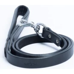 Angel Dallas Dog Leash