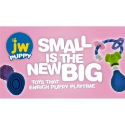 JW Pet Play Place Butterfly Puppy Teether, Color Varies 10 JW Pet Play Place Butterfly Puppy Teether, Color Varies -Blue Buffalo Shop 81068 PT4. AC SS1800 V1543602764