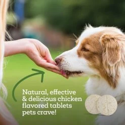 TevraPet Naturals Oral Flea & Tick Chew Supplement For Dogs & Cats, 120 Count 17 TevraPet Naturals Oral Flea & Tick Chew Supplement For Dogs & Cats, 120 Count -Blue Buffalo Shop 812606 PT7. AC SS1800 V1683136268