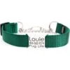 Mimi Green Personalized Chain Martingale Dog Collar 1 Mimi Green Personalized Chain Martingale Dog Collar -Blue Buffalo Shop 813958 MAIN. AC SS1800 V1681484908