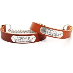 Mimi Green Leather Martingale Dog Collar With ID Riveted Nameplate -Blue Buffalo Shop 814150 PT2. AC SS1800 V1683291453