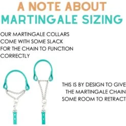 Mimi Green Waterproof Leather Martingale Dog Collar With Personalized ID Tag 10 Mimi Green Waterproof Leather Martingale Dog Collar With Personalized ID Tag -Blue Buffalo Shop 814478 PT3. AC SS1800 V1683296258