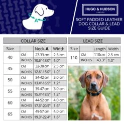 HUGO & HUDSON Padded Leather Dog Leash, Black, 43.3-in 9 HUGO & HUDSON Padded Leather Dog Leash, Black, 43.3-in -Blue Buffalo Shop 822022 PT2. AC SS1800 V1680890202