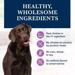 Blue Buffalo Natural Veterinary Diet W+U Weight Management + Urinary Care Dry Dog Food -Blue Buffalo Shop 822262 PT5. AC SS1800 V1695494754