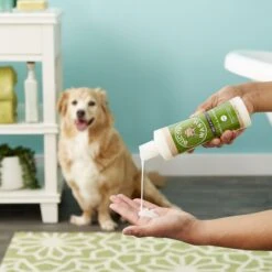 Buddy Wash Relaxing Green Tea & Bergamot Dog Shampoo & Conditioner & Frisco Rubber Duckie Dog & Cat Curry Brush -Blue Buffalo Shop 826422 PT4. AC SS1800 V1682018059