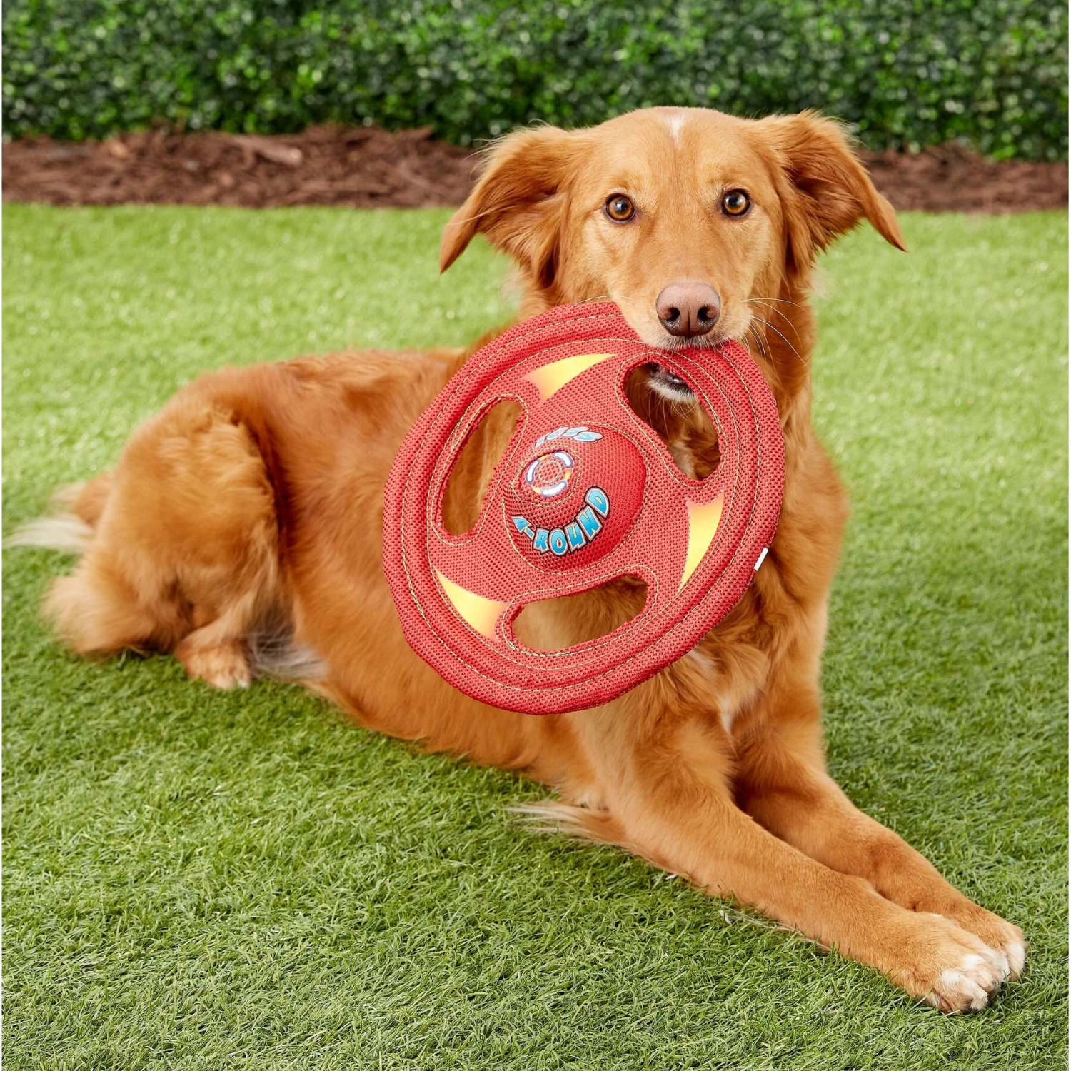Hartz Tuff Stuff Flyer Squeaky Dog Toy, Color Varies 5 Hartz Tuff Stuff Flyer Squeaky Dog Toy, Color Varies - Image 3