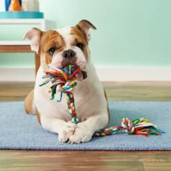 Mammoth Cloth Rope Tug For Dogs, Color Varies 11 Mammoth Cloth Rope Tug For Dogs, Color Varies -Blue Buffalo Shop 83166 PT2. AC SS1800 V1545176000