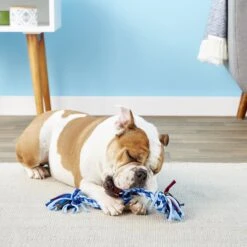 Mammoth Cloth Rope Tug For Dogs, Color Varies 12 Mammoth Cloth Rope Tug For Dogs, Color Varies -Blue Buffalo Shop 83166 PT3. AC SS1800 V1633020467