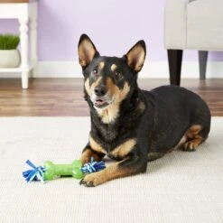 Mammoth Bone With Cloth Rope For Dogs, Color Varies -Blue Buffalo Shop 83179 PT2. AC SS1800 V1633022808