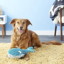 KONG CuteSeas Whale Dog Toy 8 KONG CuteSeas Whale Dog Toy -Blue Buffalo Shop 83369 PT2. AC SS1800 V1605316617